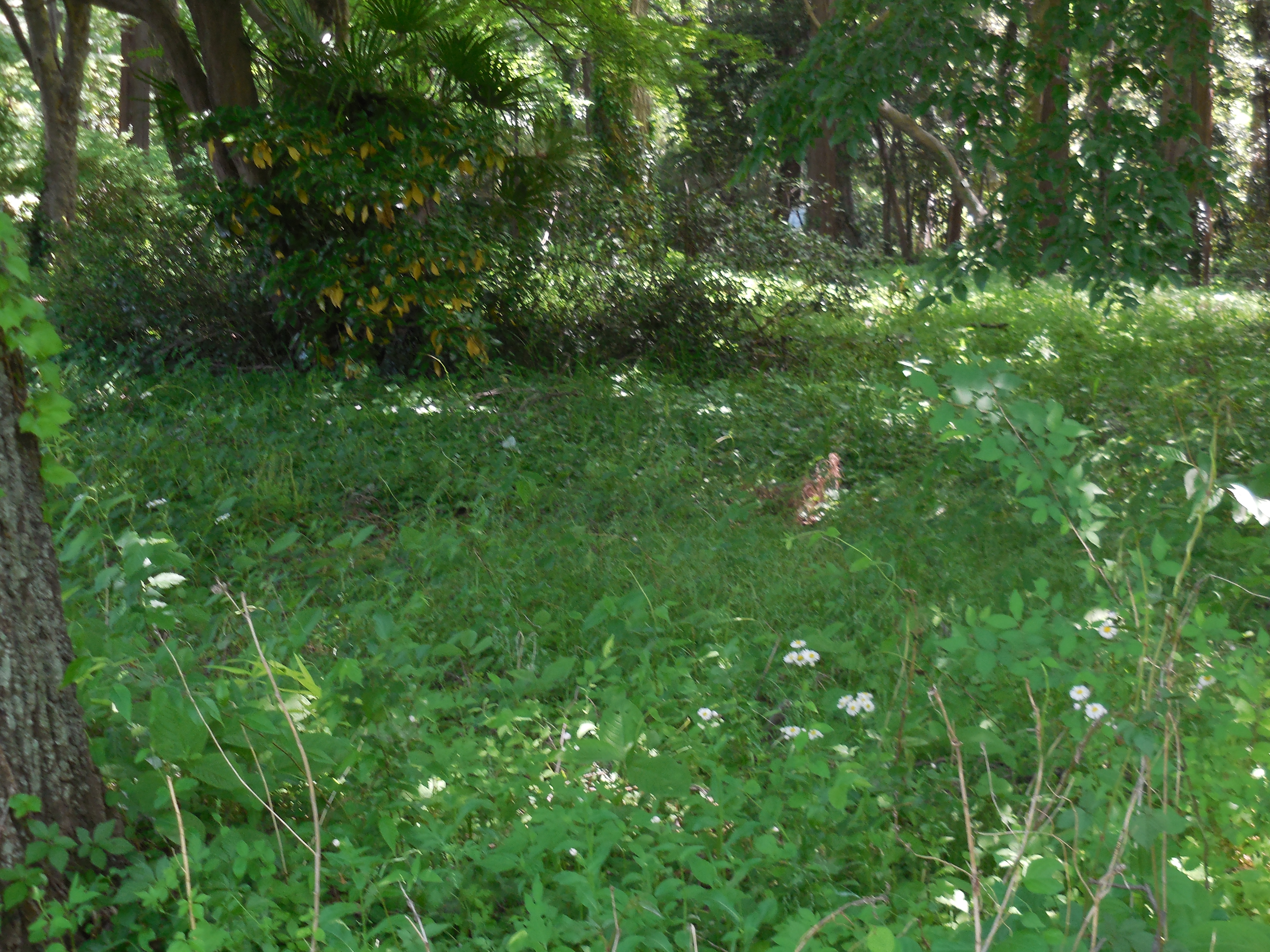 ルイス キャロル不思議の国のアリスには実存のモデルがいた 賢い お金の貯め方 借り方 学び方