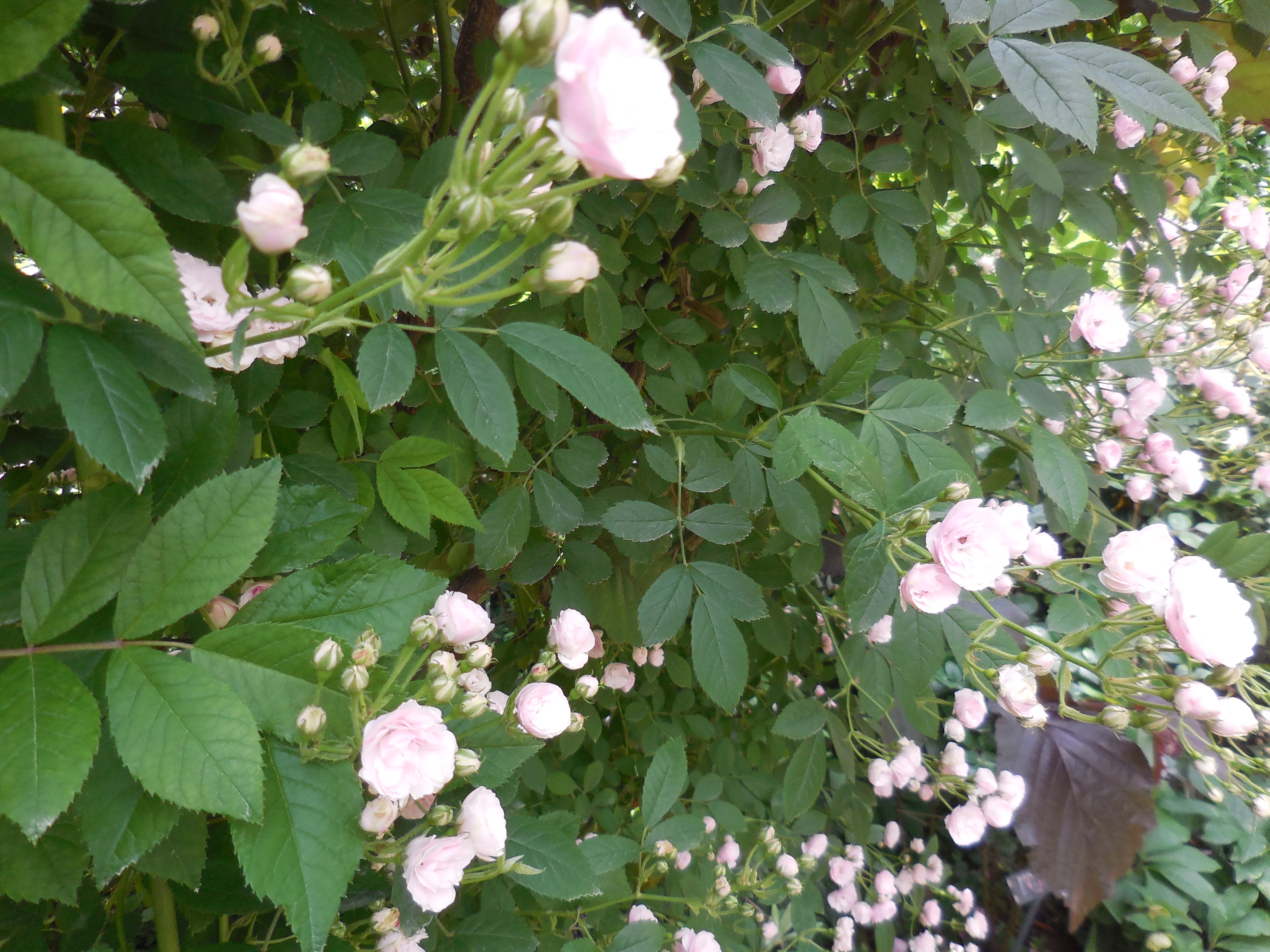 金持ち父さん貧乏父さんから学ぶ 金持ちになる秘訣の名言 賢い お金の貯め方 借り方 学び方