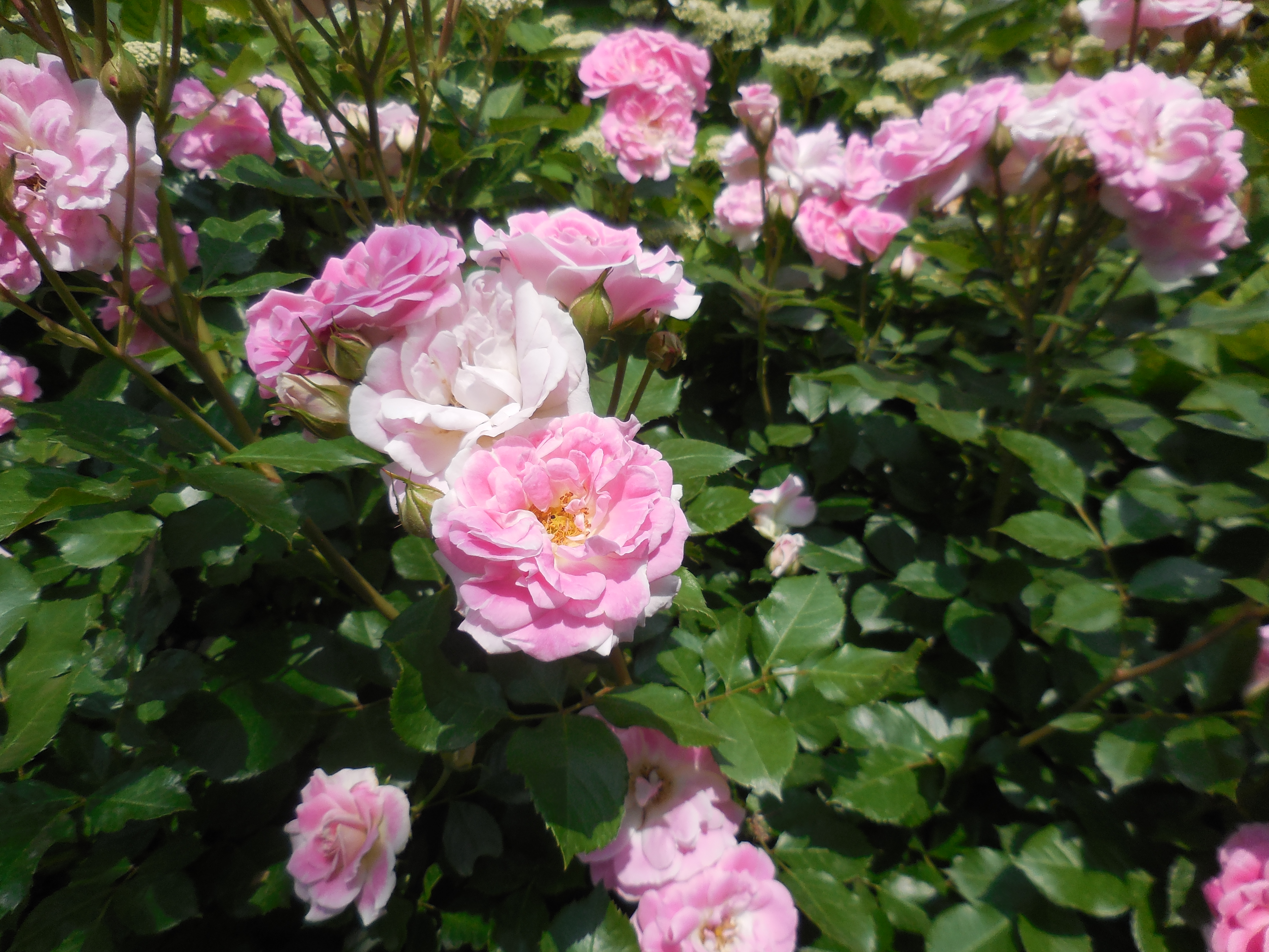 ピンチはチャンスの名言集 ピンチを乗り越える名言7選 賢い お金の貯め方 借り方 学び方 ピンチはチャンスの名言集 ピンチを乗り越える名言7選 賢い お金の貯め方 借り方 学び方